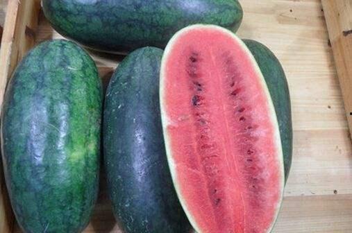 娱乐吃瓜酱山东哪里的,探寻娱乐吃瓜酱的美食之源 第2张 娱乐吃瓜酱山东哪里的,探寻娱乐吃瓜酱的美食之源 第2张